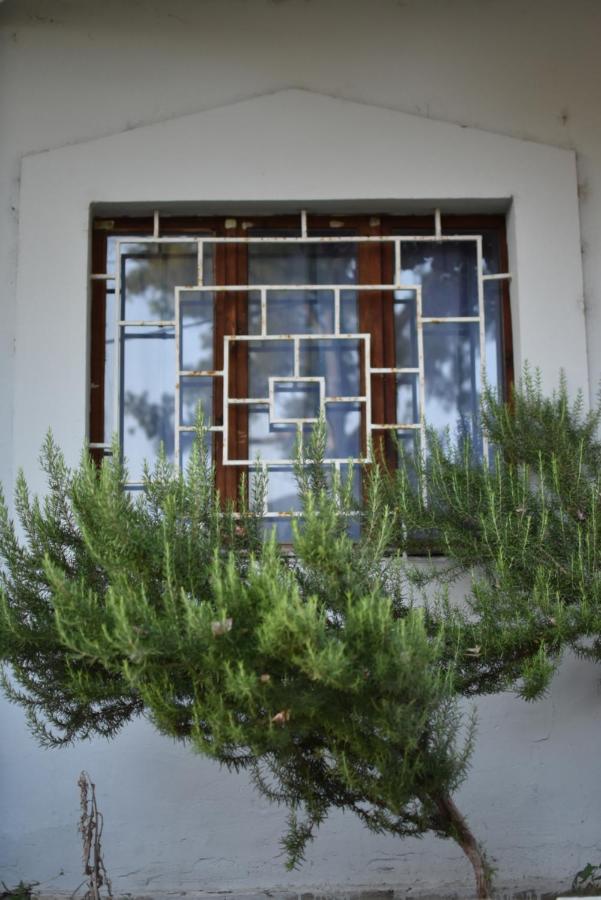 Private Apartment At Guest House Hektor & Aferdita Vlorë エクステリア 写真